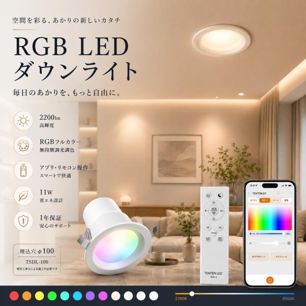 ledダウンライト 100φ 電球80W相当 端子台付 ダウンライト 薄型 リモコン付き 常夜灯 タ...