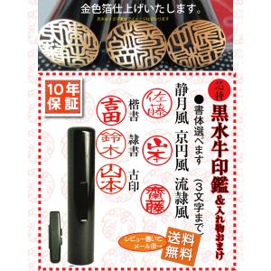 印鑑 売れ筋 はんこ  銀行印　認印　目印付(あたり付)高級圧縮黒水牛芯持印鑑ケースのおまけ付セット/送料無料//10年保証//12ミリ/ ハンコ  認印 黒水牛｜smileweb