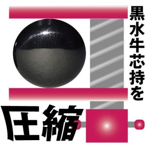 印鑑 実印 銀行印 黒水牛芯持圧縮材印鑑12m...の詳細画像2