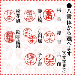 印鑑 ネーム印 認印 シャチハタタイプ 浸透印...の詳細画像2