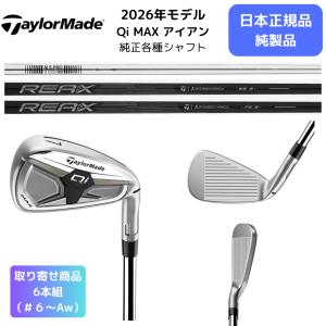 BRIDGESTONE GOLF 241CB IRON アイアン6本set(5I-PW)[5P]ブリヂストン