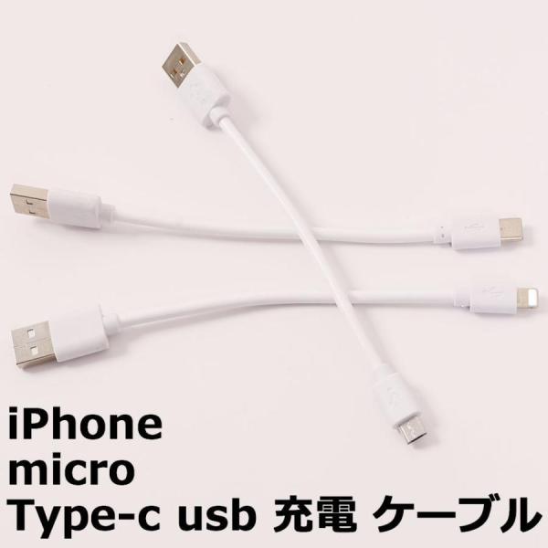 iPhone 充電ケーブル iPad Android 用 micro USB Type-c スマホ充...