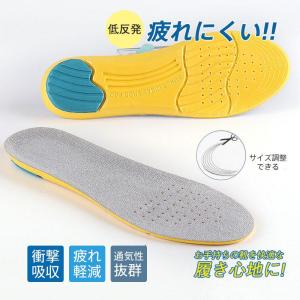 不動化学 リフレッシュインソール 抗菌+消臭 男性用 フリー 楽天市場】不動化学 リフレッシュインソール抗菌消臭 男性用 : ひゃく