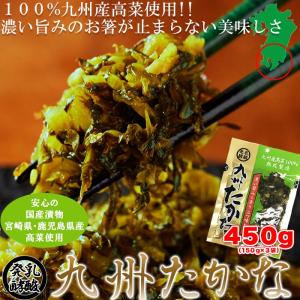 鹿児島 太陽漬物 九州たかな 150g×3袋 送料無料 宮崎・鹿児島県産高菜使用 完熟乳酸発酵 450g