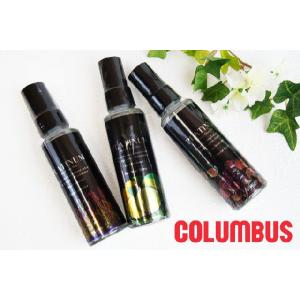 コロンブス オドクリーン プラチナミスト 内容量:100ml COLUMBUS Mist 消臭 除菌 シューケア スプレー パンプス ブーツ 靴用消臭  メール便不可｜smw