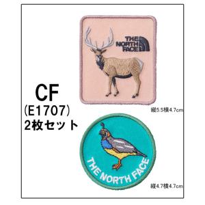 ザ・ノース・フェイス TNFワッペン 刺繍 ア...の詳細画像3