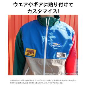 ザ・ノース・フェイス TNFワッペン 刺繍 ア...の詳細画像4