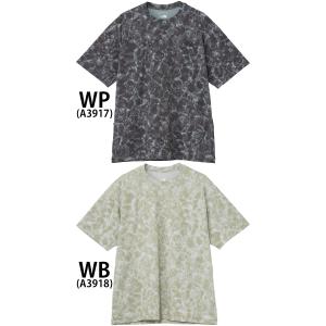 ザ・ノース・フェイス Tシャツ メンズ ショー...の詳細画像1