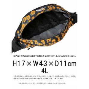 ザ・ノース・フェイス ボディバッグ メンズ ス...の詳細画像4