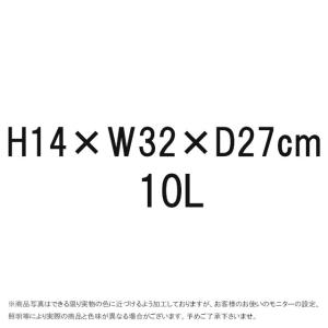 ザ・ノース・フェイス スタッフバッグ メンズ ...の詳細画像4