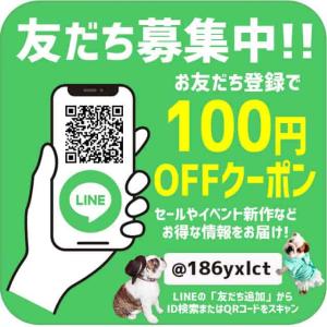 クロックス crocs ディズニー ジビッツ ...の詳細画像4