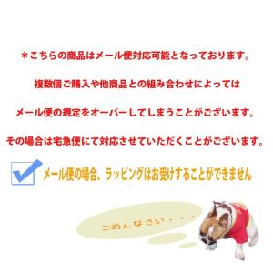 クロックス crocs ディズニー ジビッツ ...の詳細画像5