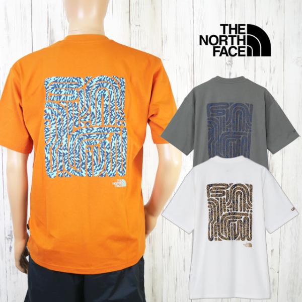 ザ・ノース・フェイス Tシャツ メンズ ショートスリーブレイバックトライバルティー 半袖 トップス ...