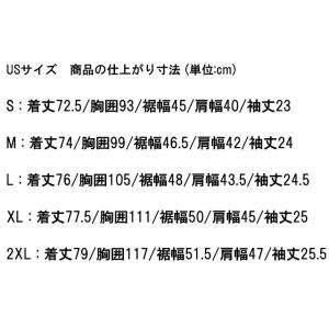 ナイキ ポロシャツ メンズ BV6879 Dr...の詳細画像3