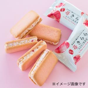 風美庵 苺きらら 5個 九州 福岡 博多 お土産