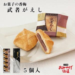 九州 ギフト 2026 宮崎銘菓 フェニックス通り 12個入 お菓子の日進堂