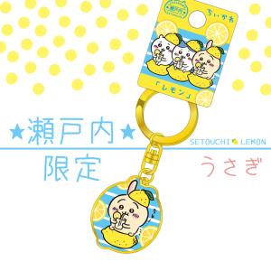 うさぎ ご当地キーホルダー ダイカットキーホルダー