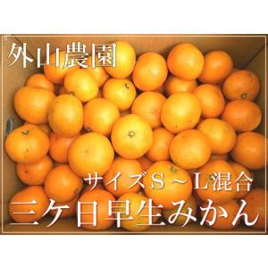 三ヶ日中生みかん 5kg(S〜2L混合)(外山農園)静岡県三ヶ日産・送料無料