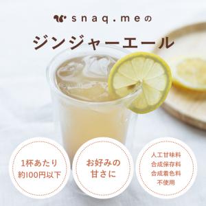 スナックミー クラフトジンジャーエール 3本入...の詳細画像1