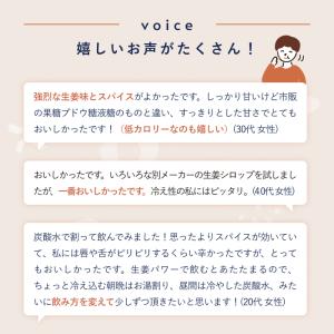 スナックミー クラフトジンジャーエール 3本入...の詳細画像2