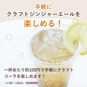 スナックミー クラフトジンジャーエール 3本入...の詳細画像3
