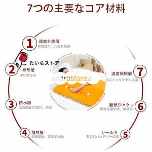 サウナ 家庭用 80度 サウナブランケット ヒ...の詳細画像4