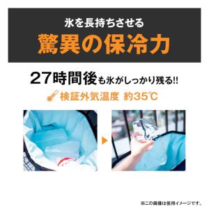 AO Coolers エーオークーラーズ 24...の詳細画像4