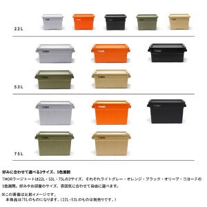 THOR ソー Large Totes DC ...の詳細画像2