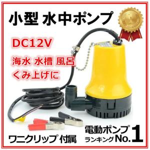 水中ポンプ 小型 12V 専用 海水 最大吐出量 毎分70Ｌ ポンプ