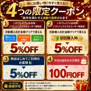 スニーカー レディース 厚底 厚底スニーカー ...の詳細画像4