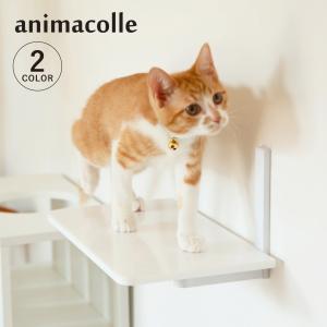 アニマコレ animacolle キャットステッ...の商品画像