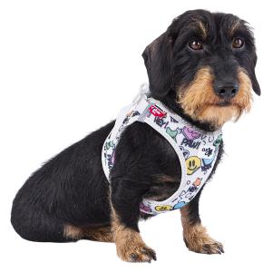 Curli カーリー 犬服 ドッグウェア ハー...の詳細画像5