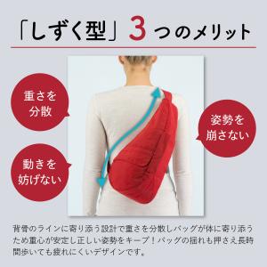 ヘルシーバックバッグ Healthy Back...の詳細画像2