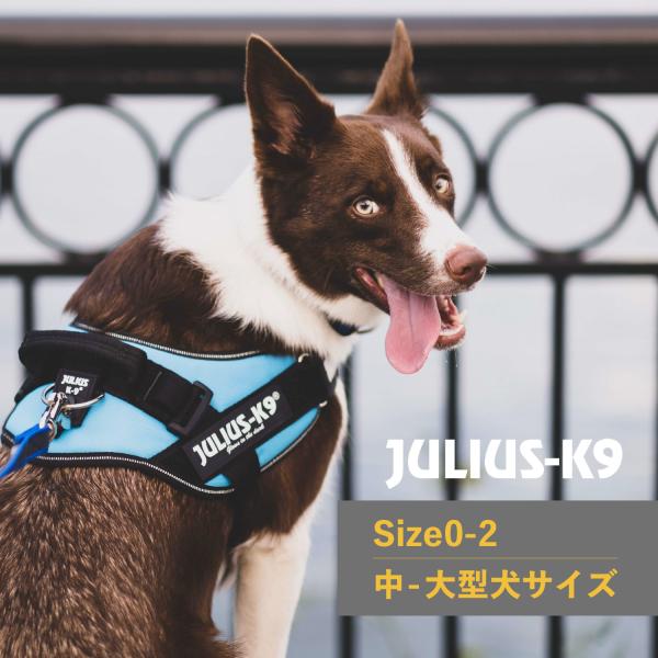 ユリウスK9 Julius-K9 ハーネス IDCパワーハーネス ベルト 中型犬 大型犬 ユリウスケ...