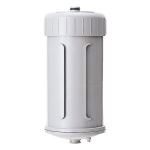 CWA-01 日本ガイシ NGK 浄水器交換用カートリッジ C1 シーワン CW-101  