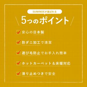 スミノエ SUMINOE ラグ ラグマット カ...の詳細画像1