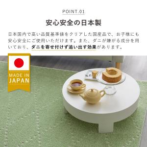 スミノエ SUMINOE ラグ ラグマット カ...の詳細画像2