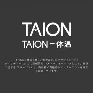 TAION タイオン インナーダウン ベスト ...の詳細画像1