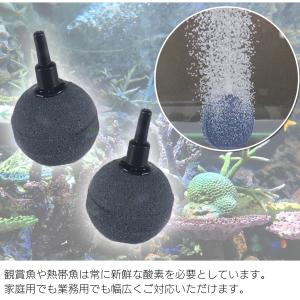 水槽 エアレーション おすすめのランキングtop100 人気売れ筋ランキング Yahoo ショッピング