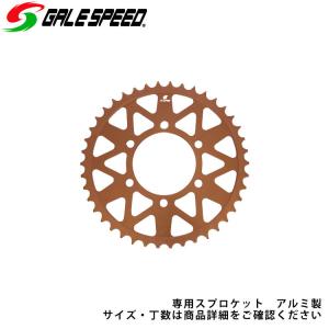 カワサキ ZX-14R(12-19) ZZR1400(06-11) ZX-10R(06-15) ZX-6R(03 カワサキ ZX-14R(12-19) ZZR1400(06-11) ZX-10R(06-15) ZX-6R(03