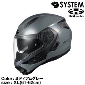 OGK Kabuto（オージーケーカブト） OGK KABUTO RYUKI フラットブラック