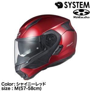 OGK Kabuto（オージーケーカブト） OGK KABUTO RYUKI ミディアムグレー