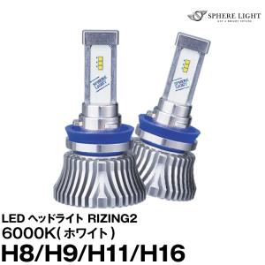 H16 SRH11060-02