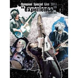 flumpool Special Live 2013”experience”at YOKOHAMA ...