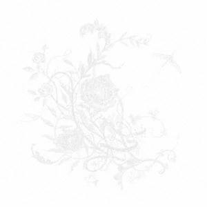 白色蜉蝣（通常盤） Aimer