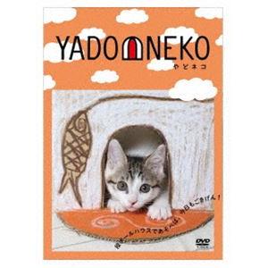 YADONEKO-やどネコ-