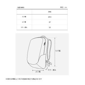 THE NORTH FACE ノースフェイス ...の詳細画像5