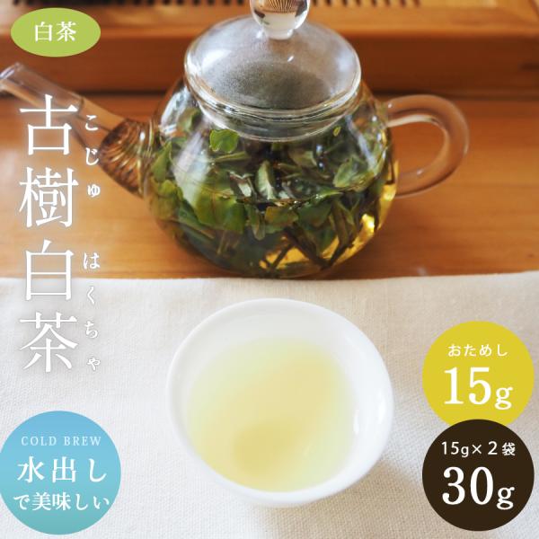 中国茶 白茶 ホワイトティー 水出し 古樹白茶 15g 30g 柑橘系 2024年産 健康茶 薬膳 ...