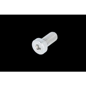 アルペンスノーボード　ビンディング　ALC BINDING センターボルト　エイエルシー　