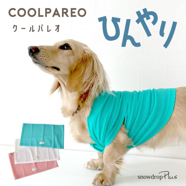 パレオ ペット用冷感タオル 犬 猫 冷却 クールバンダナ クールネック クールタオル ゆうパケット対...